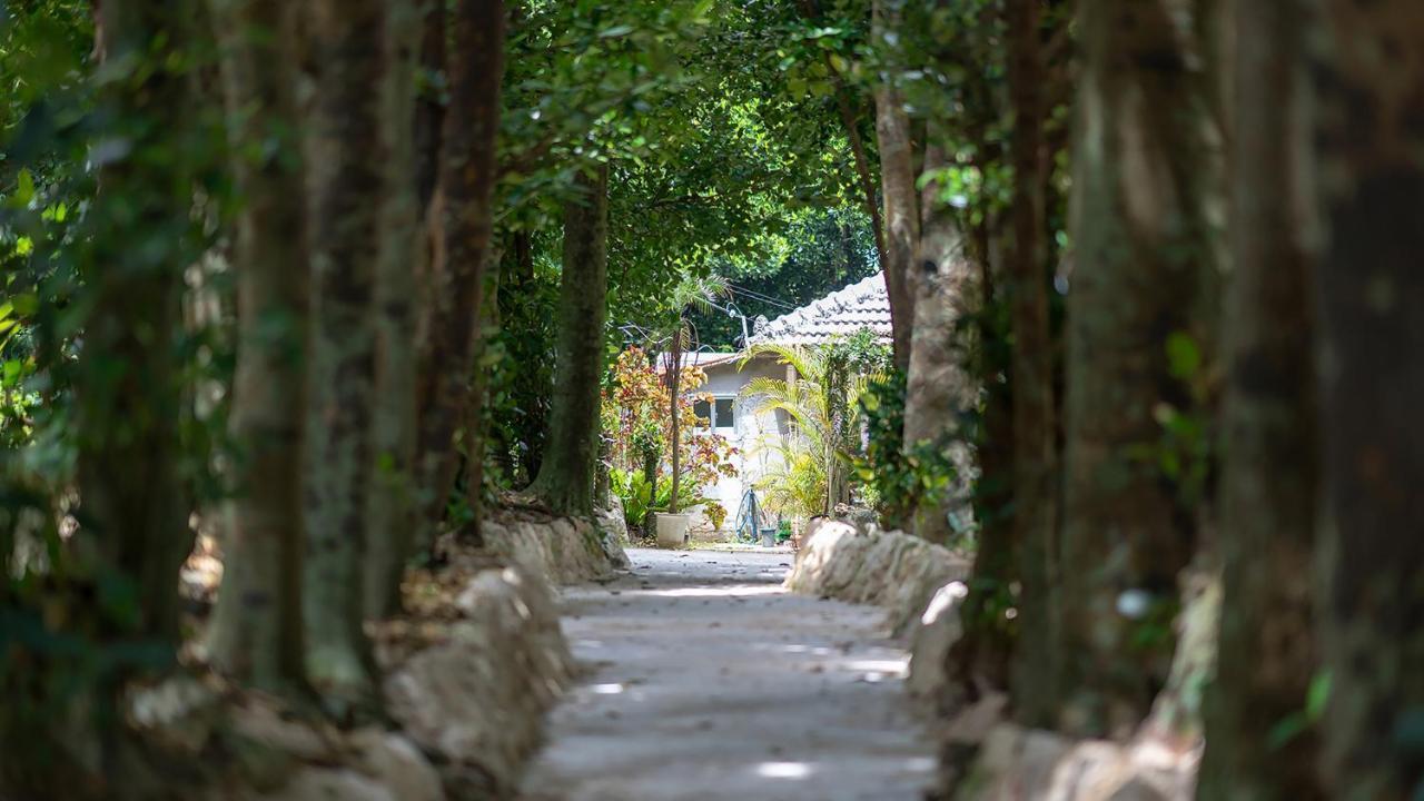 La Ohana～瀬底島～（2022年open） 오키나와 시 외부 사진